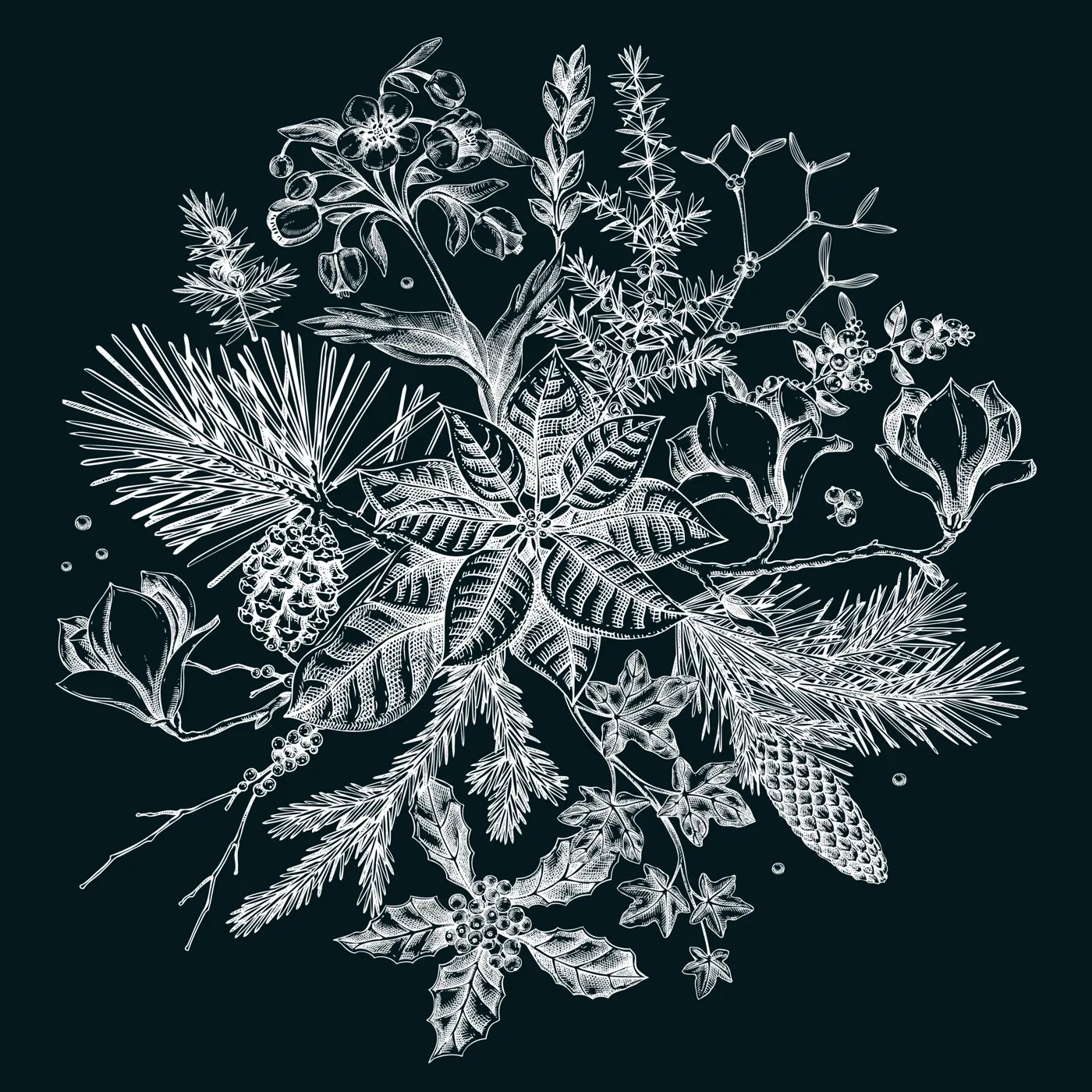 Merry Christmas card template. Evergreen plants, flower, bird sketches. Winter round design on chalkboard. Hand-drawn botanical illustrations. NOT AI generated image Illustration